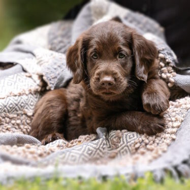 Y-Wurf 13.06.2023 Ashes of St. Helens