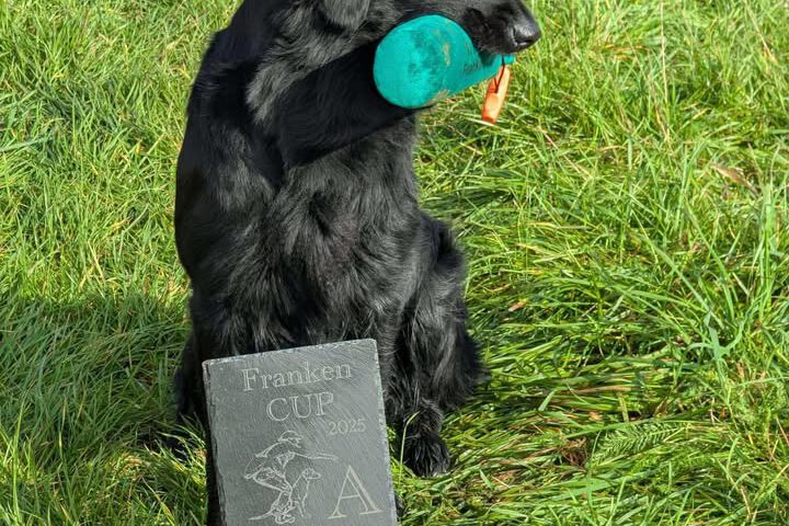 FrankenCup 2025